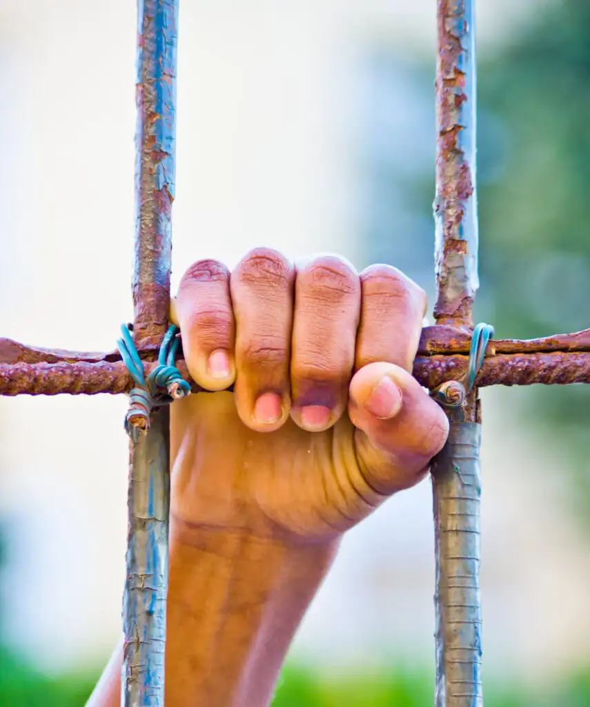 hand holding fence