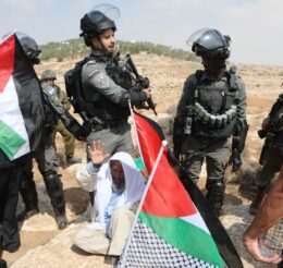 The Strengthening of Palestinian Civil Society Activism, Part II