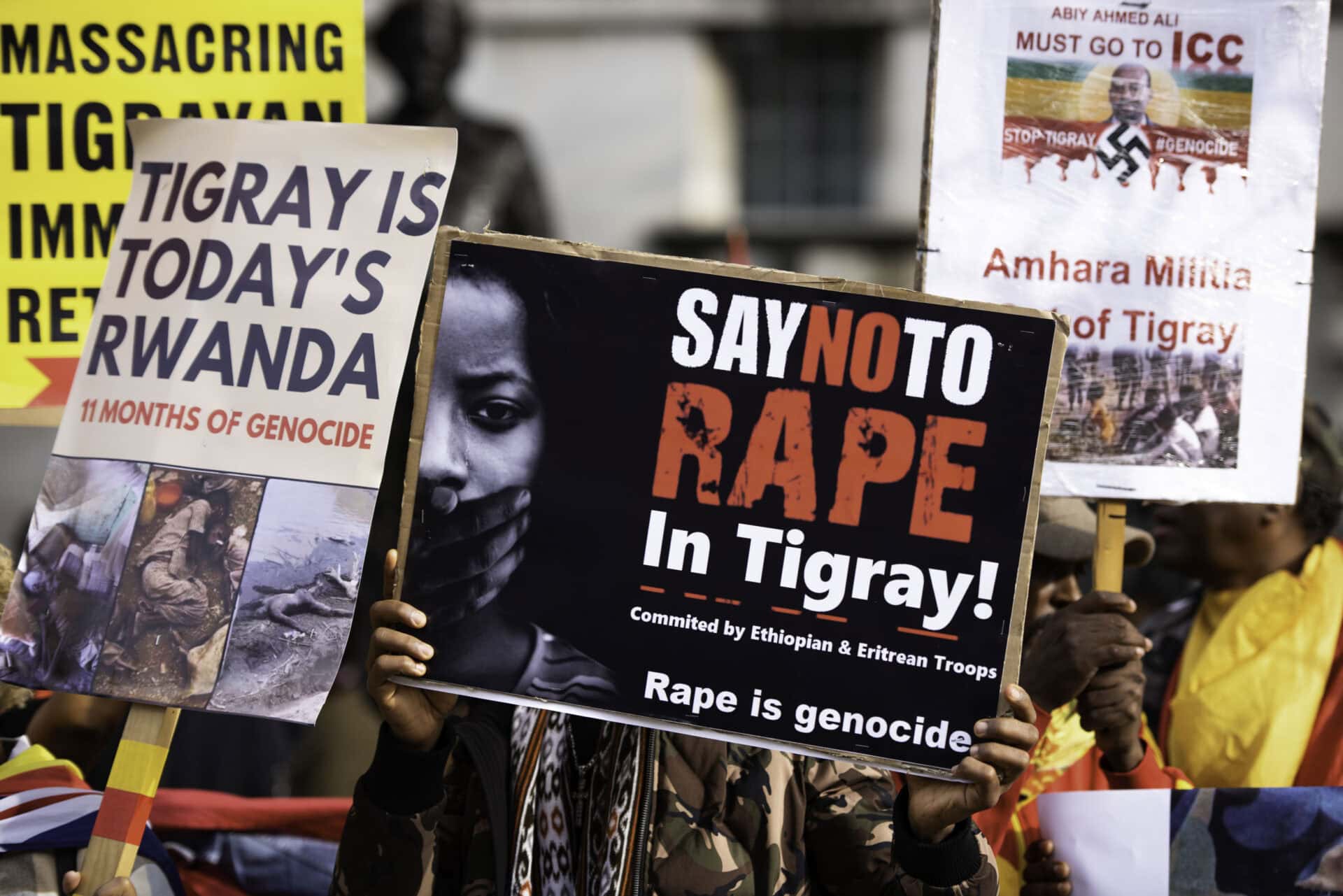 Protesters hold signs during the Tigray Genocide Protest