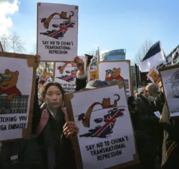 Reports Illuminate Deficiencies in the U.S. and U.K. Responses to TNR