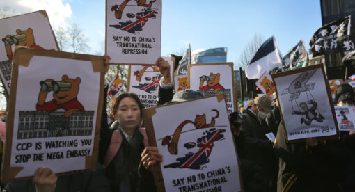 Reports Illuminate Deficiencies in the U.S. and U.K. Responses to TNR
