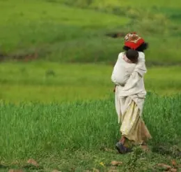 The Weaponized Womb: Mapping Reproductive Violence as a Tool of Ethnic Cleansing 