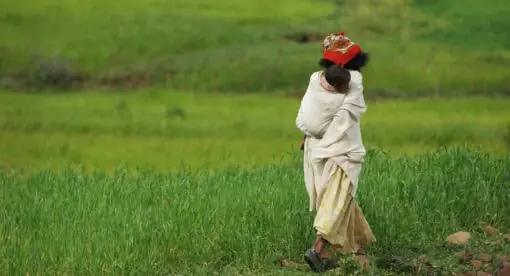 The Weaponized Womb: Mapping Reproductive Violence as a Tool of Ethnic Cleansing 