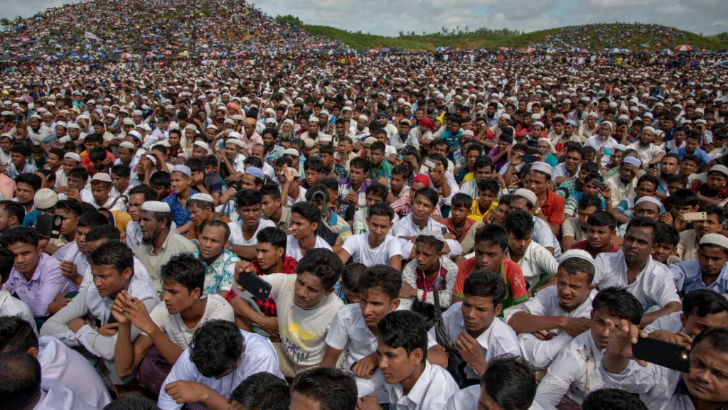 Untitled design (12)